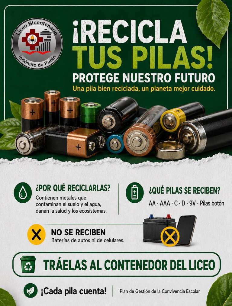 CAMPAÑA PILAS
